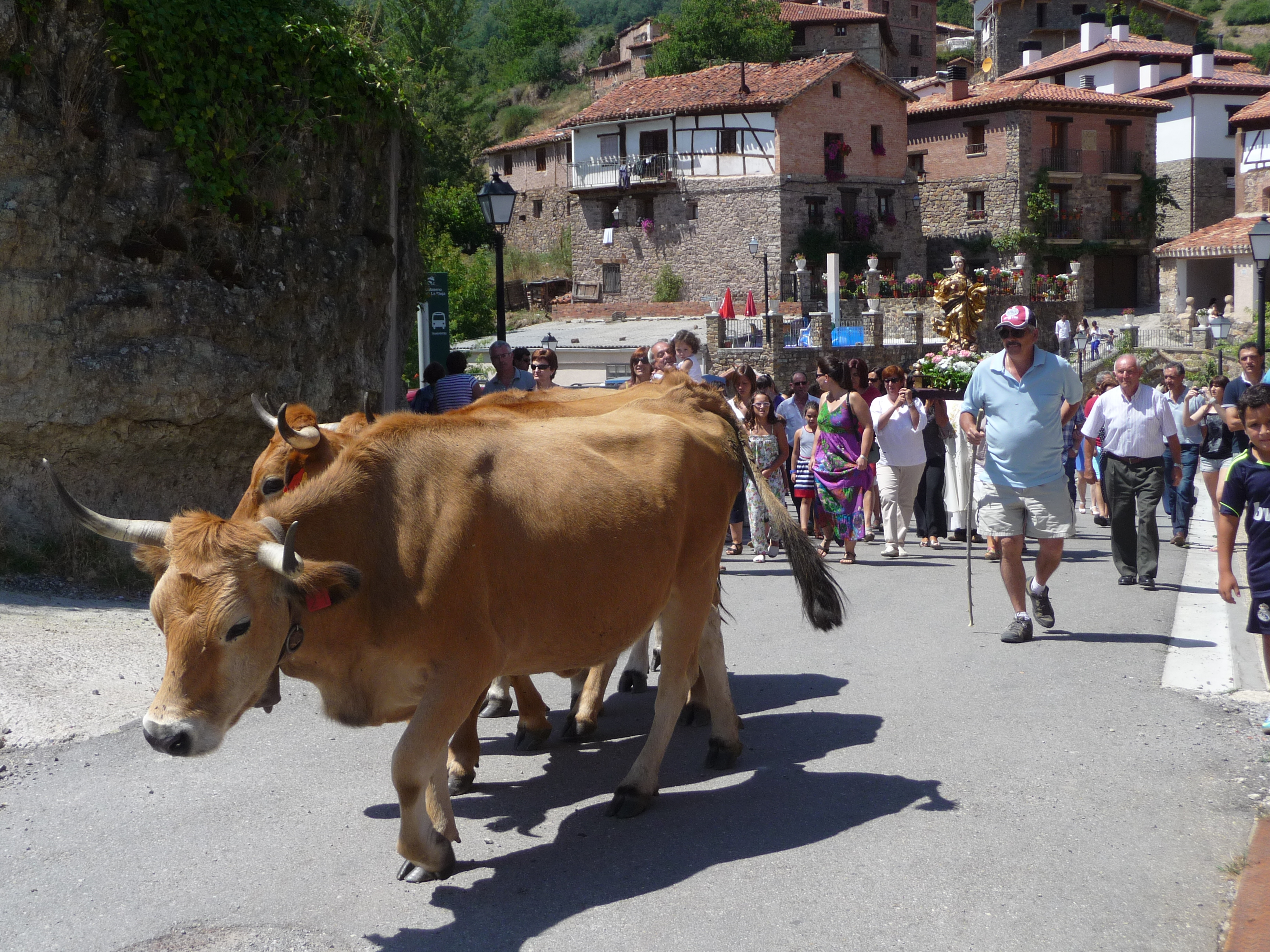 Rosario de las vacas
